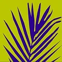 Miami Beach Botanical Garden