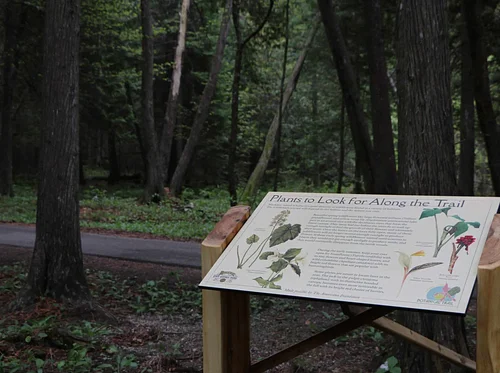 Botanical Wonders Walk