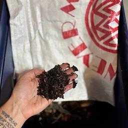 DIY Worm Bin