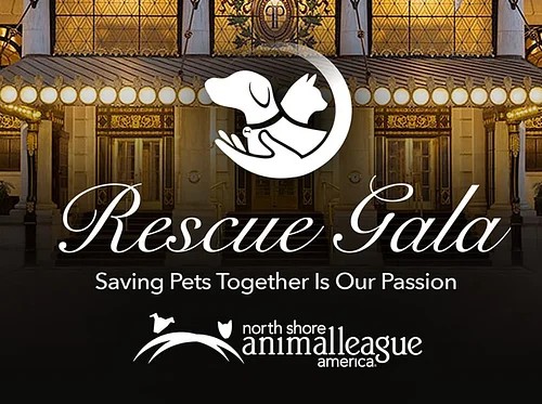 RSVP Today for Our 2026 Rescue Gala