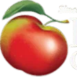 Lyman Orchards Golf