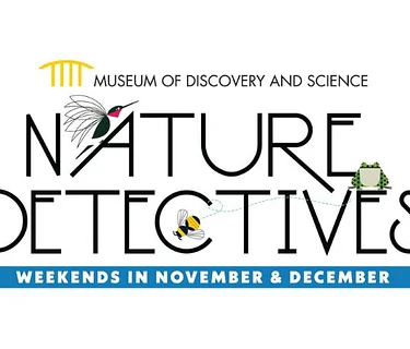 Nature Detectives Weekends in November and December