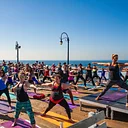 Wellness & Waves