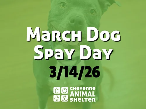 March Doggy Spay Day