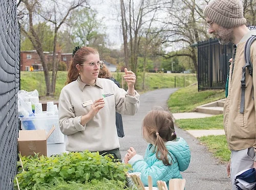 Gardening for all: Natural weed controls