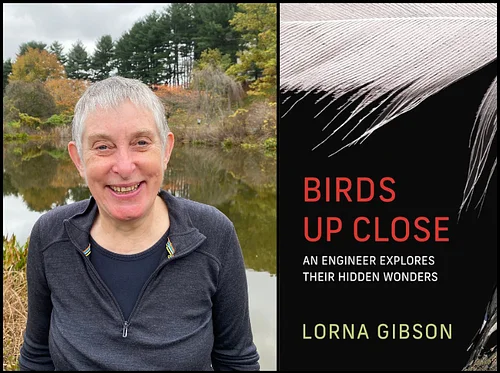 Birds Up Close by Lorna Gibson
