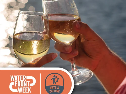 Vibez & Karaoke Fridays - Public Charter