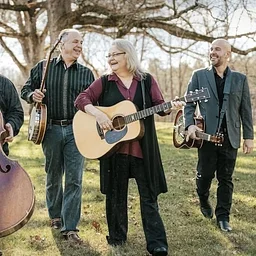 Dale Ann Bradley