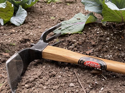 Tool Sharpening Workshop