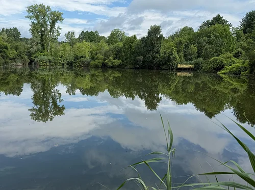 Ridgefield Rec Center