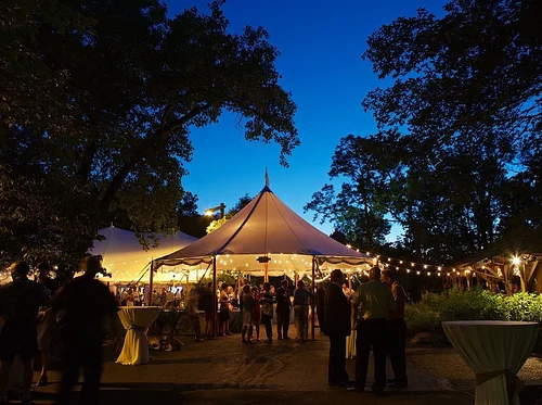 Nature at Night: Moonbeam