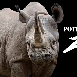 World Rhino Day Celebration