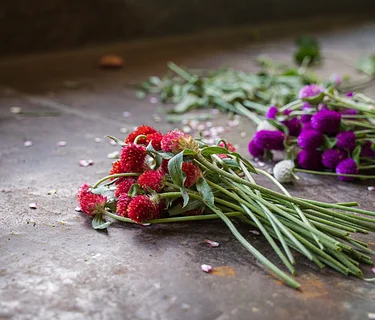 Garden to Vase: Cut Flower Workshop
