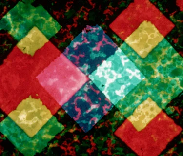 Lamplightings: Masters of Abstract Animation at Speed Cinema