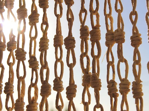 Can You Knot? A Knot Tying Workshop