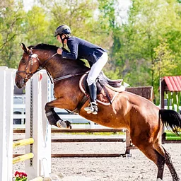PCHA Horse Show – September