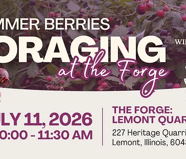 Summer Berries: Foraging at The Forge Plant Walk