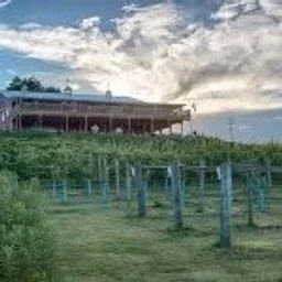 The Vineyard & Brewery at Hershey