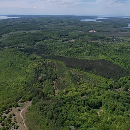 Dedication of Chigidaaki: Place of the Big Hill Working Forest Reserve