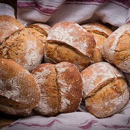 A Beginner’s Guide to Sourdough Fermentation- December 29, 2026