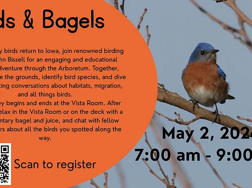Birds and Bagels