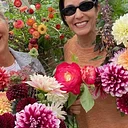 Dahlia Season Showcase