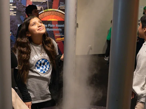 Forces of Nature: Disaster Discovery