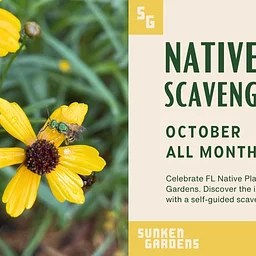 Florida Native Plant Month Scavenger Hunt