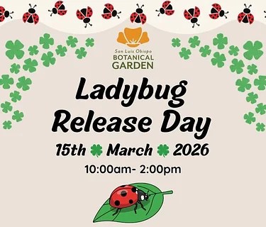 Free Family Day: Ladybug Release Day!