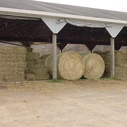 Hay & Grain Online Auction