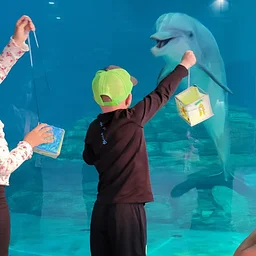 Night at the Aquarium