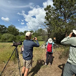 Birding Extravaganza at the Fort Garden and River