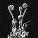 Exploring Values & Textures on Scratchboard – Workshop with Joe Smith
