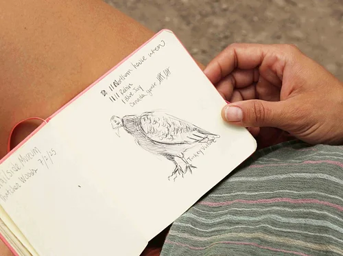 Nature Arts for Health: Nature Journal Making