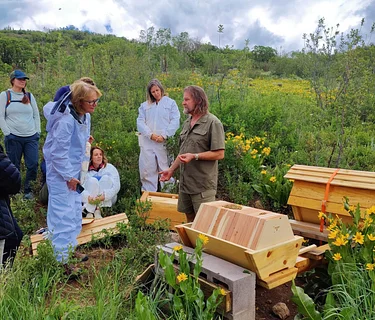 Bee Guardianship Workshop: June 6-7th, 2026 with Alex DeCesaro