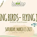 Budding Gardeners: Humming Birds – Flying Jewels
