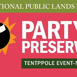 Salsa Dance: Party for the Preserves