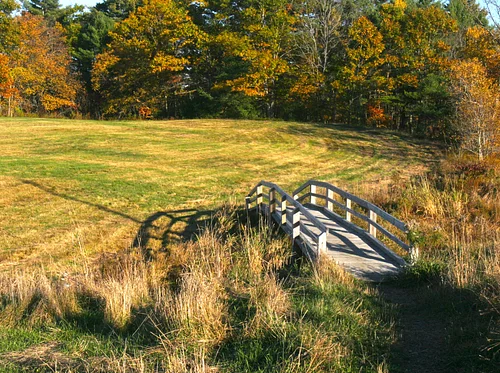 Explore the Nocturnal World of Fuller Farm