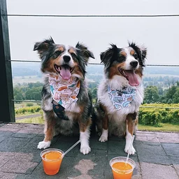 7th Annual: Peach Daze Fuzztival