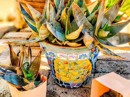 Mosaic Workshop: Spring Garden Planter