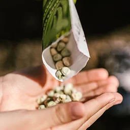 Boo-tanical Seed Exchange