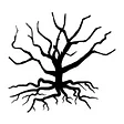 Roots. Seasonal Cuisine
