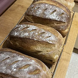 Cave Junction Farmers Market OPEN