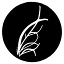 5 Fifty-Five Vineyard