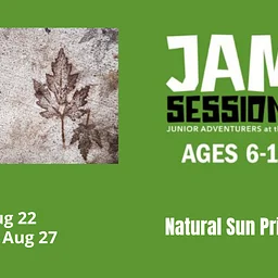 JAM Sessions: Natural Sun Prints