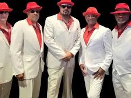The Groove Squad