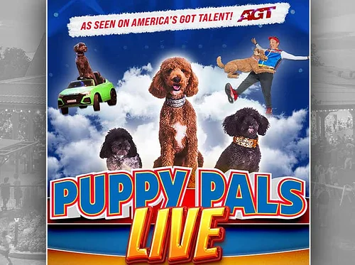 Puppy Pals Live – The Action-Packed Comedic Stunt Dog Show