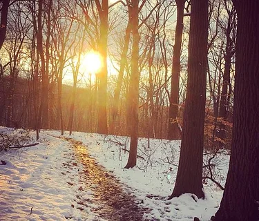 Silent Hike in the Wissahickon with Margaret Kinnevy and Pat Jacona