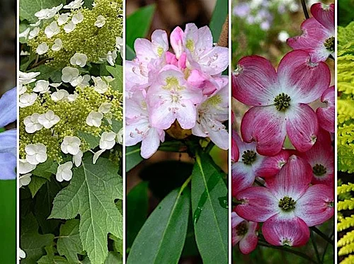 Opening Night Party at The Garden Shop Nursery