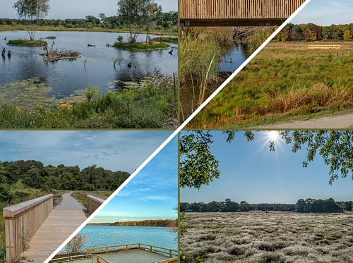 Eco-Restoration Tour